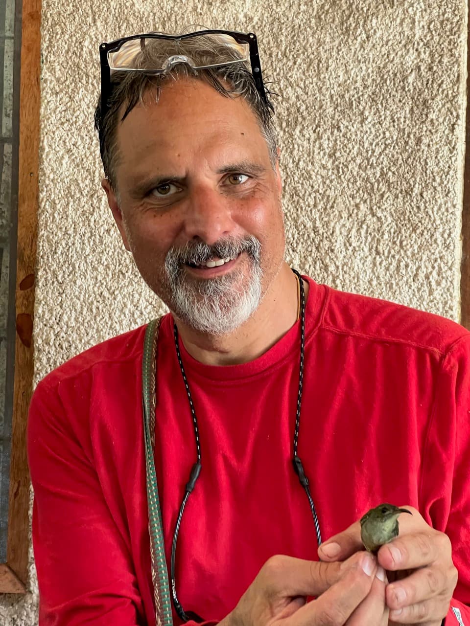 Plant-Based Diets: A Climate Solution Right on Our Plates